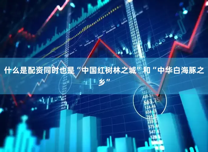 什么是配资同时也是“中国红树林之城”和“中华白海豚之乡”