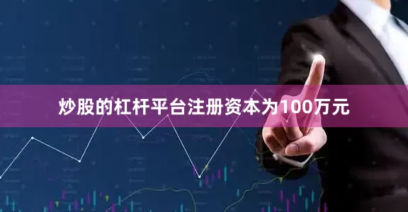 炒股的杠杆平台注册资本为100万元