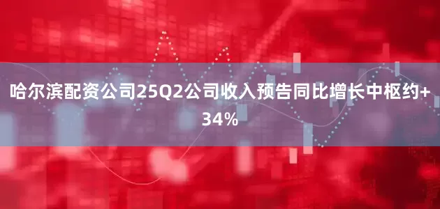 哈尔滨配资公司25Q2公司收入预告同比增长中枢约+34%