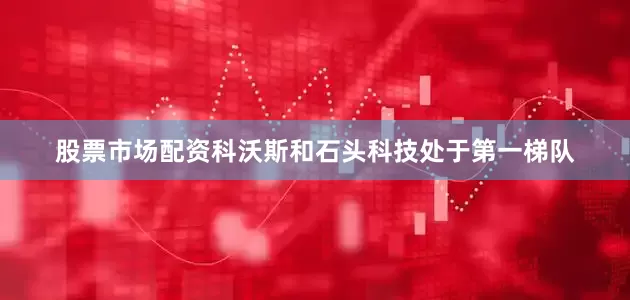 股票市场配资科沃斯和石头科技处于第一梯队
